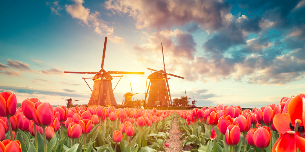 Özgürlükler Ülkesi: Hollanda Gezi Rehberi